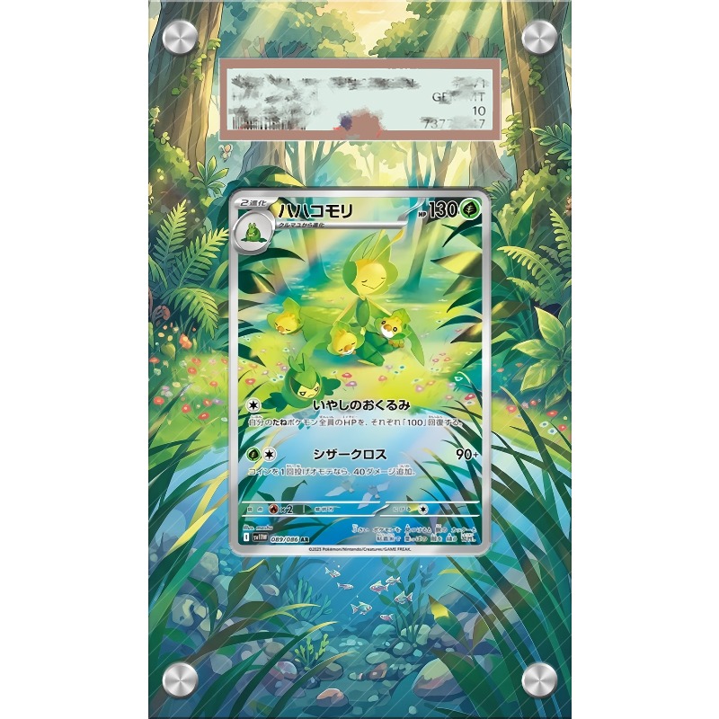 Kunstvoller Acryl-Schutzkasten – Anime Merchandise For Girls Bewertung und Preis